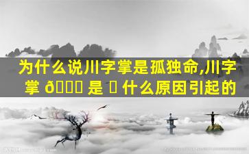 为什么说川字掌是孤独命,川字掌 🐒 是 ☘ 什么原因引起的